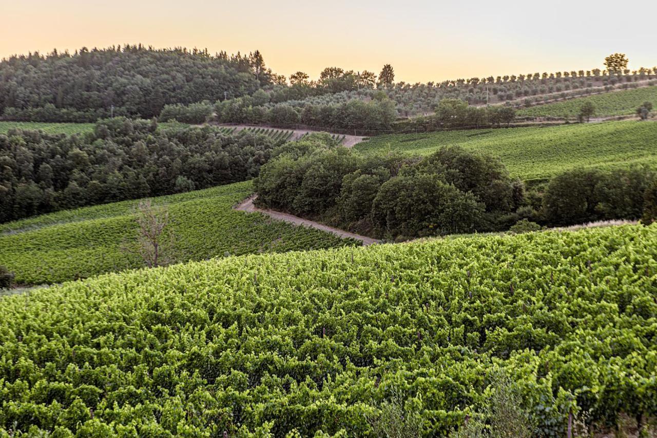 카스텔리나인키안티 Agriturismo Casa Al Bosco 빌라 외부 사진